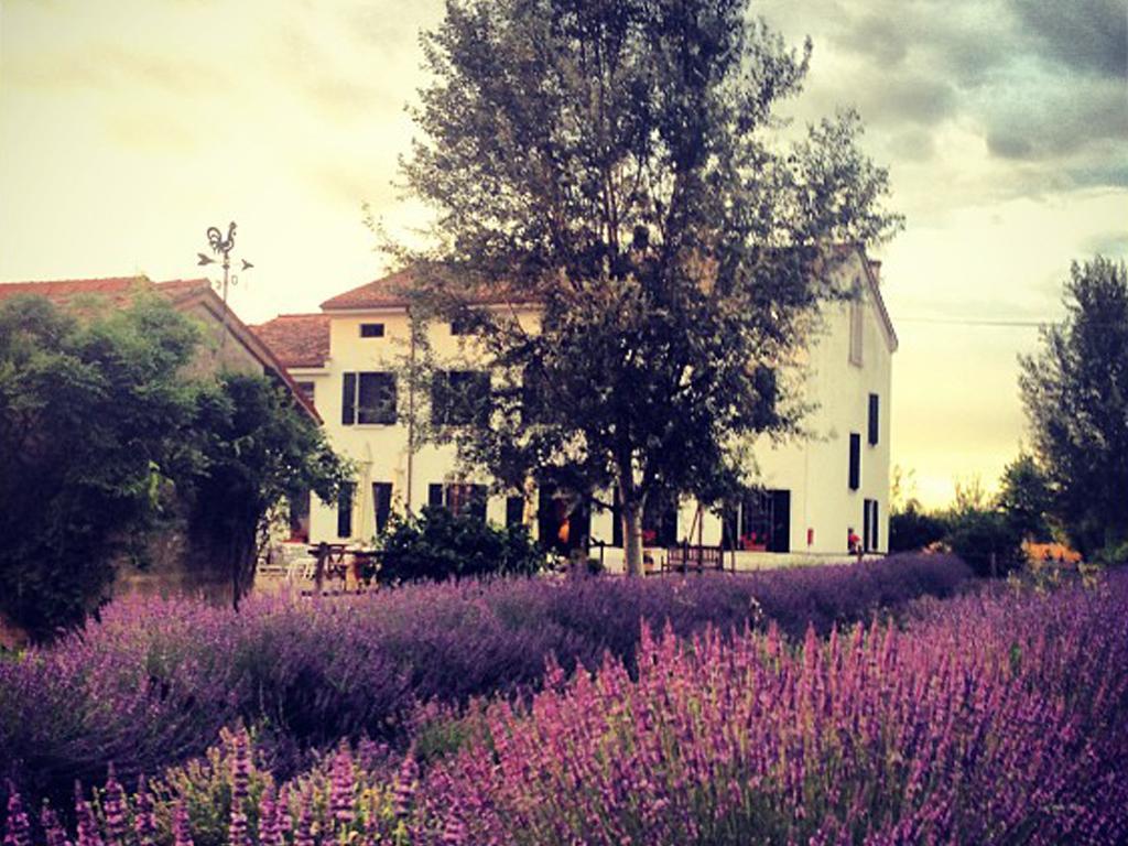 Agriturismo Viridarium Castellucchio Екстер'єр фото