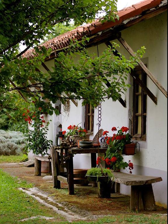 Agriturismo Viridarium Castellucchio Екстер'єр фото